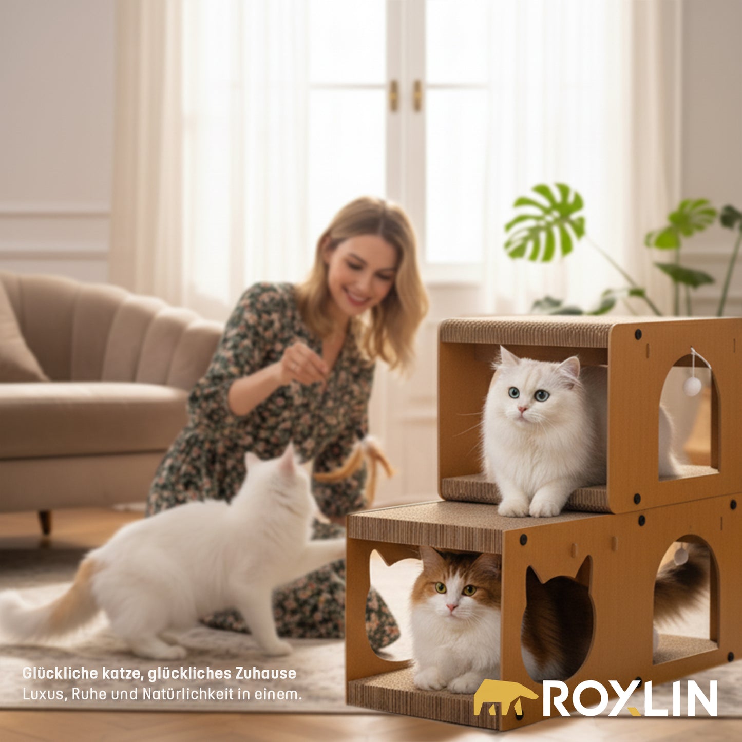 Katze liegt neben dem Roxlin Katzen-Kratzmöbel TV-Modell aus Karton