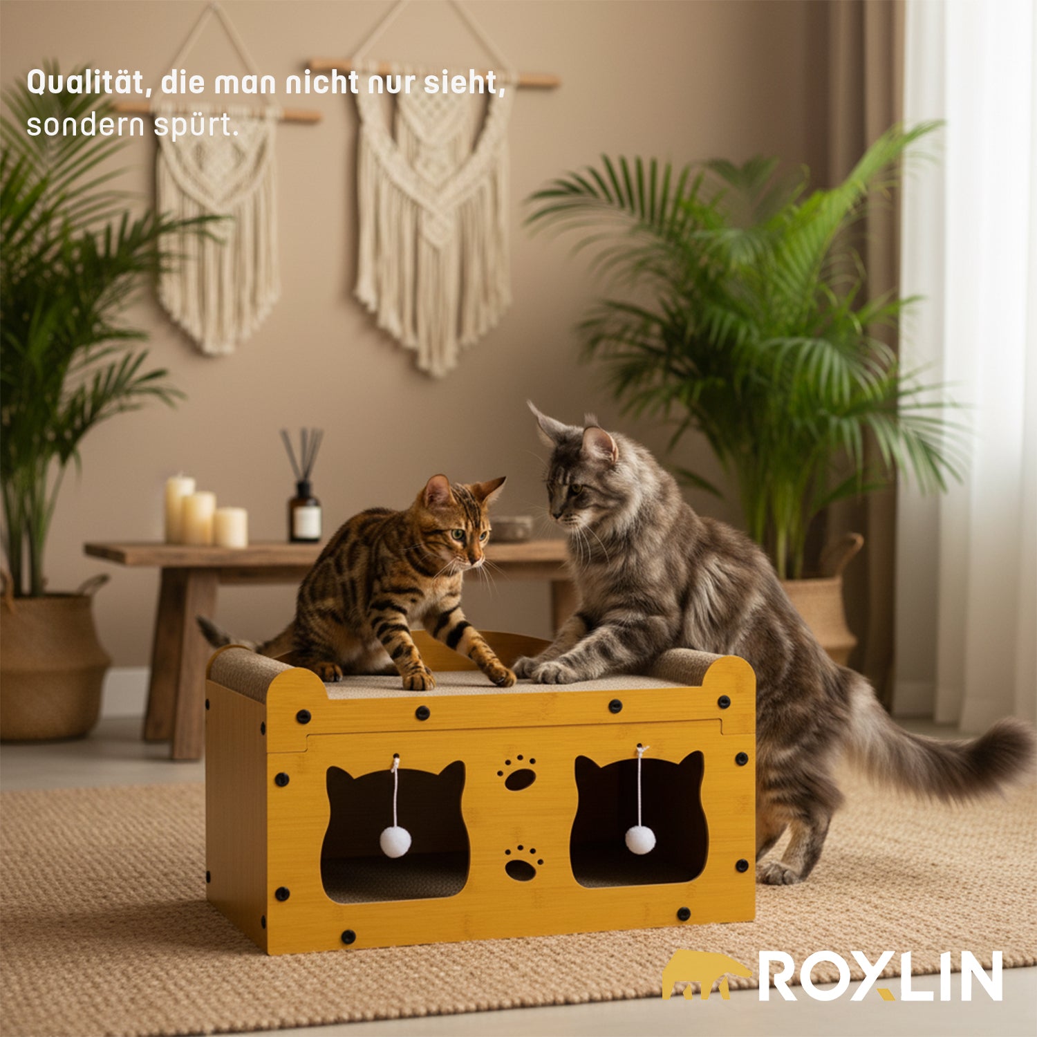 Roxlin Katzen-Kratzmöbel TV-Modell aus Karton mit Detailaufnahmen der Kratzflächen