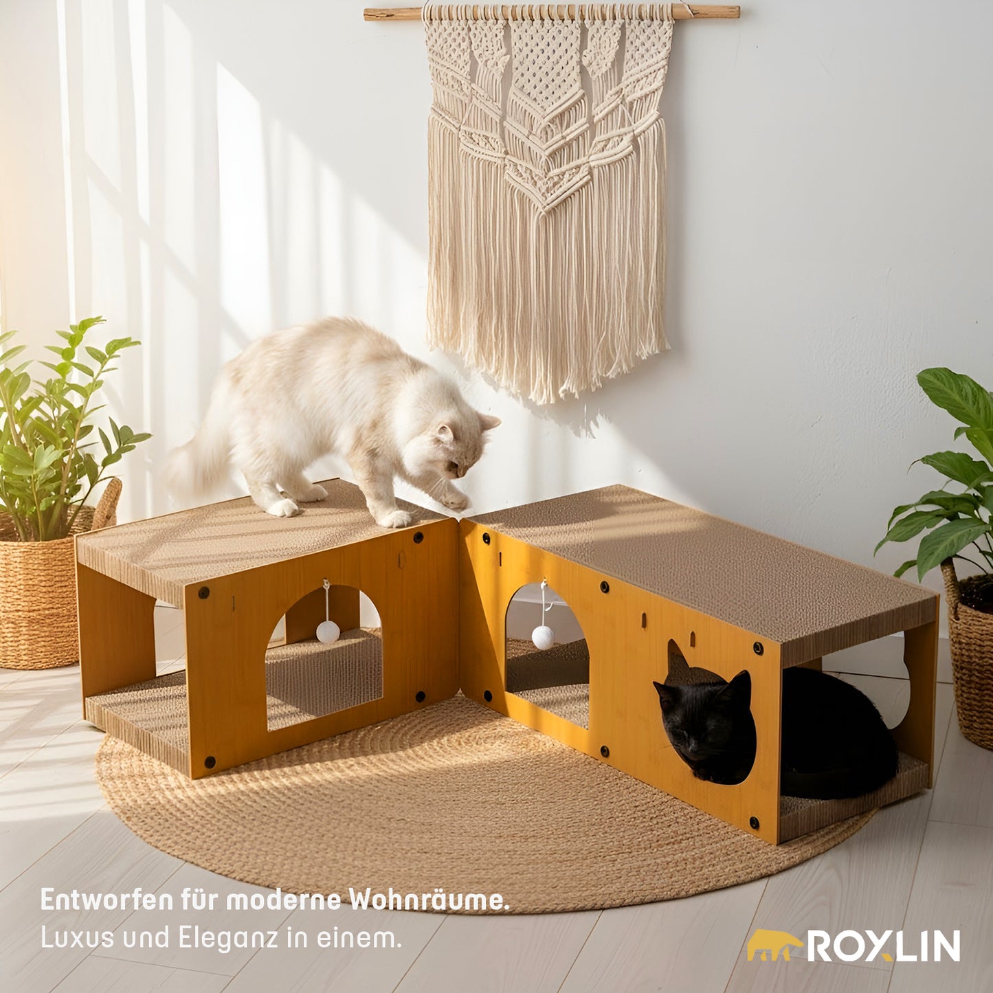 Zwei Katzen spielen im Roxlin Katzen-Kratzmöbel TV-Modell aus Karton